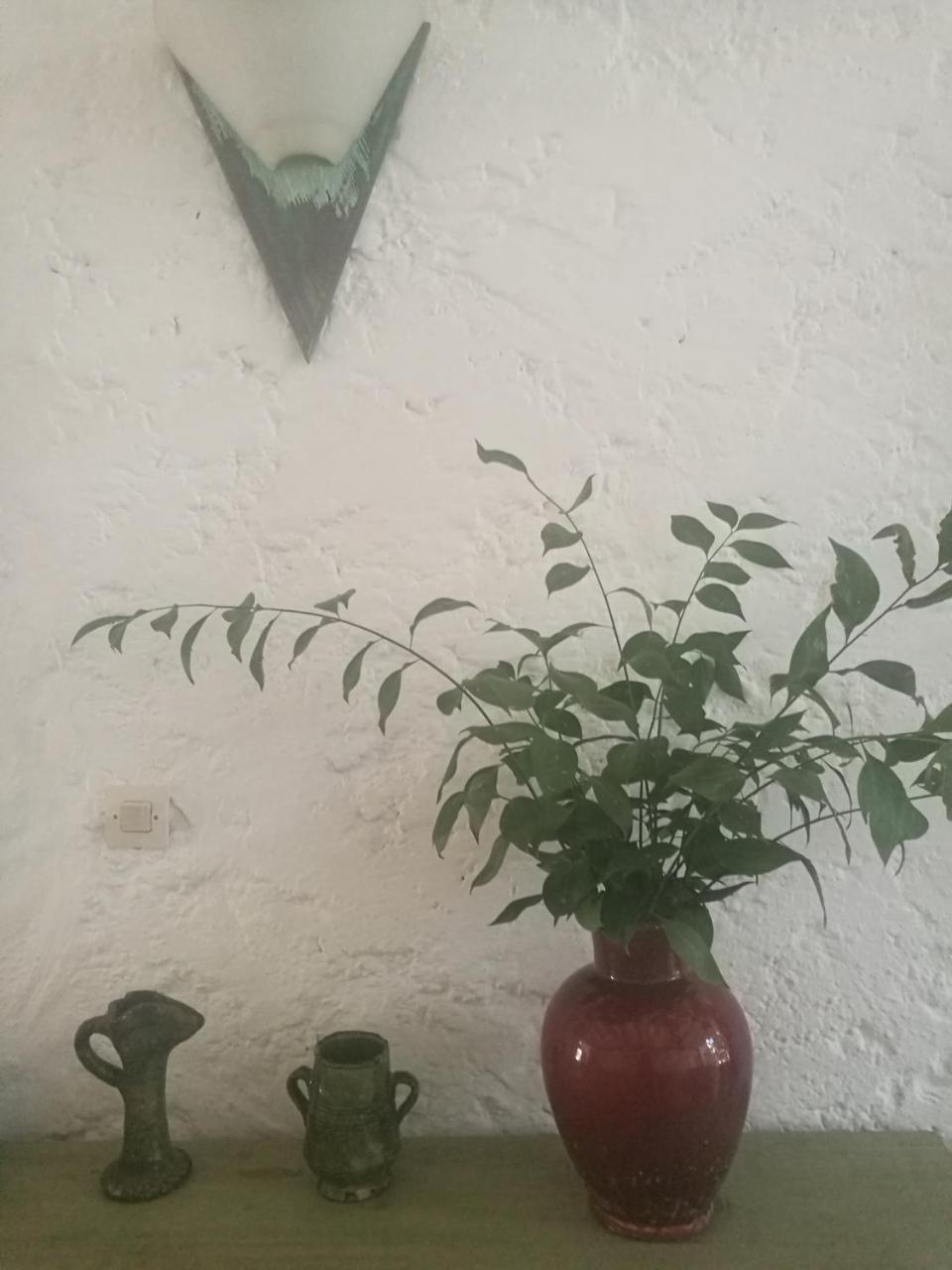 Patio De La Luna Asilah Εξωτερικό φωτογραφία